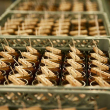 Load image into Gallery viewer, P.F Candle Co.