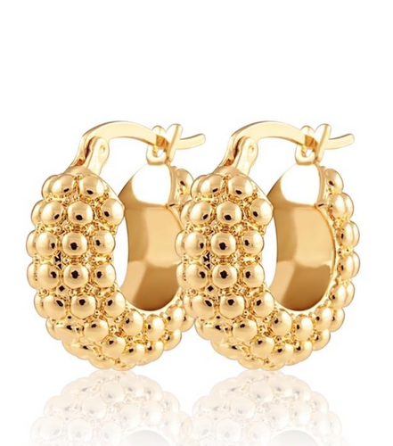 Modern Romance Boutique - Reggie Studded Hoops